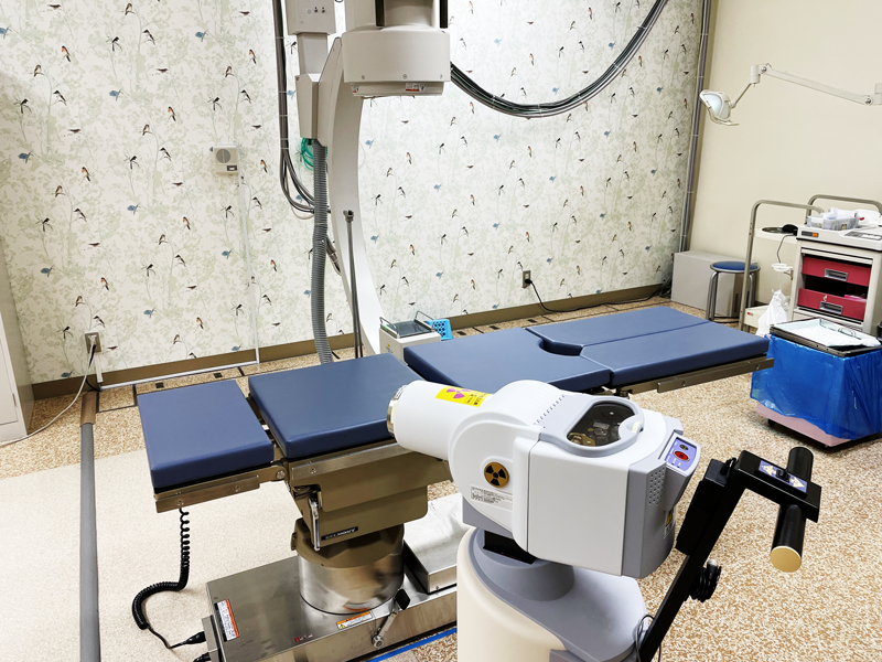 マイクロセレクトロン-HDR：192Ir線源/高線量率密封小線源治療装置