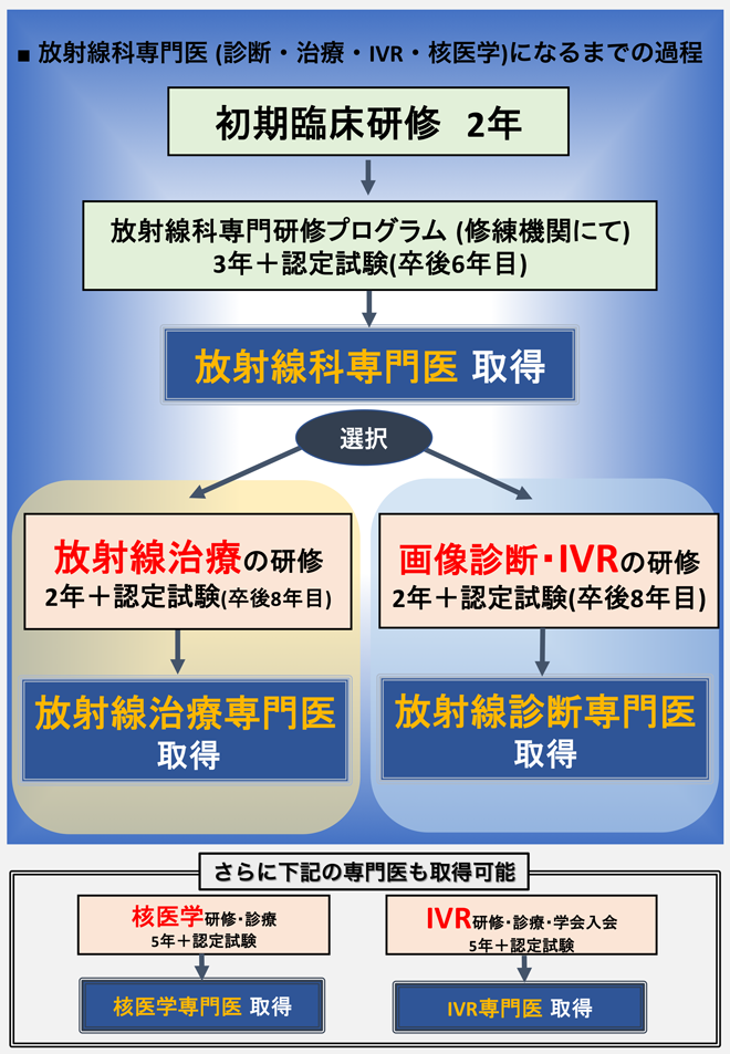 放射線科専門医になるまでの過程